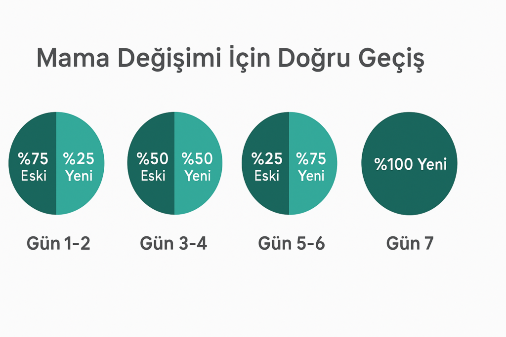 kedi mama değişimi