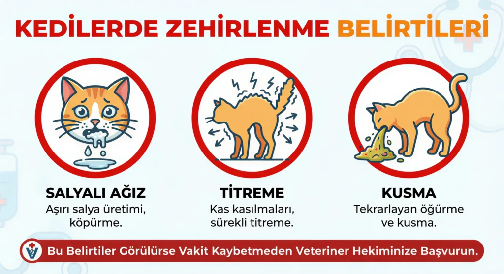 Zehirlenme Belirtileri (Salyalı ağız, titreme, kusma ikonları)