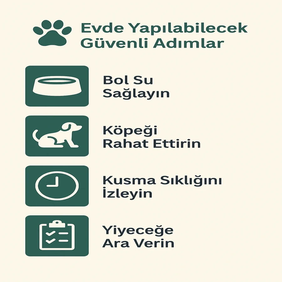 kopek kusma 1