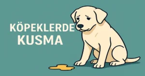 Köpeklerde kusma konusunu anlatan sade illüstrasyon