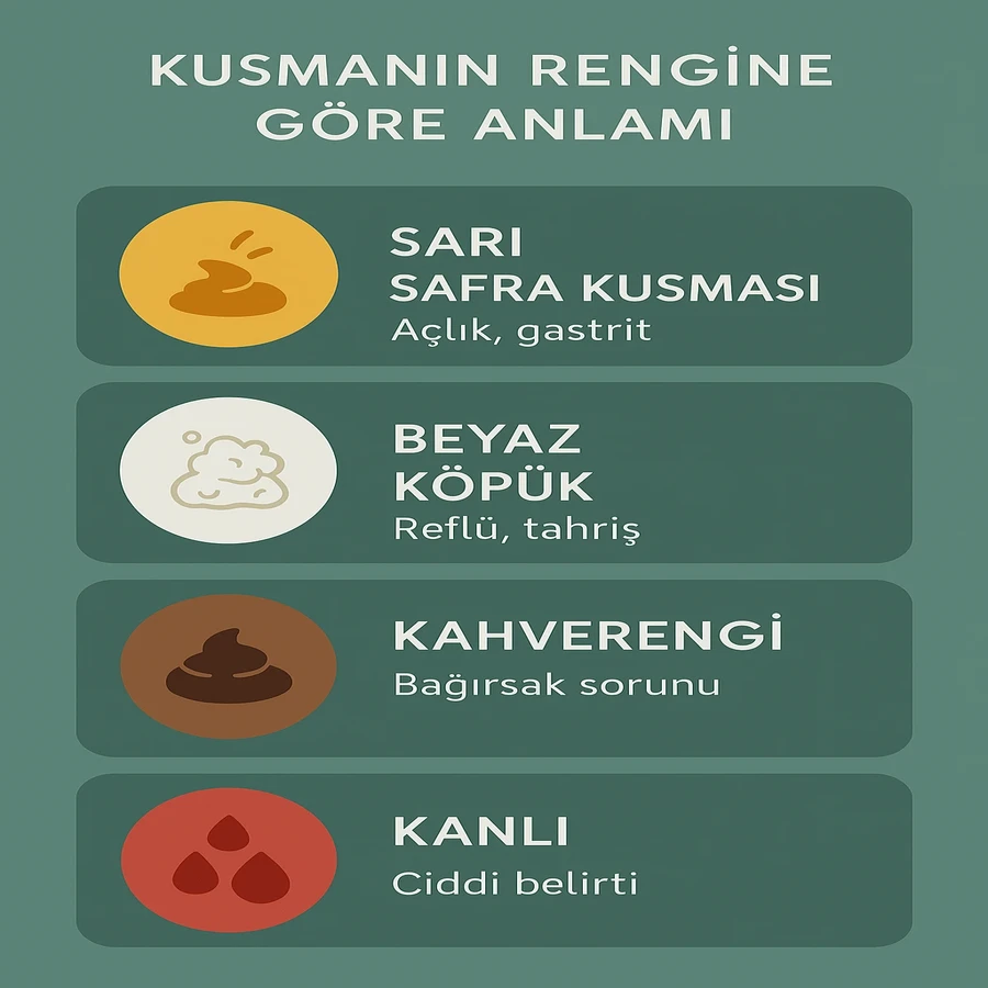 Köpeklerde kusmanın rengine göre olası anlamları gösteren tablo