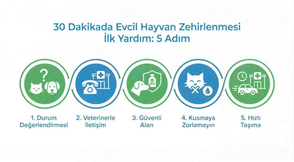 Kedi ve köpeklerde zehirlenmede ilk 30 dakikada yapılacak 5 adım infografiği