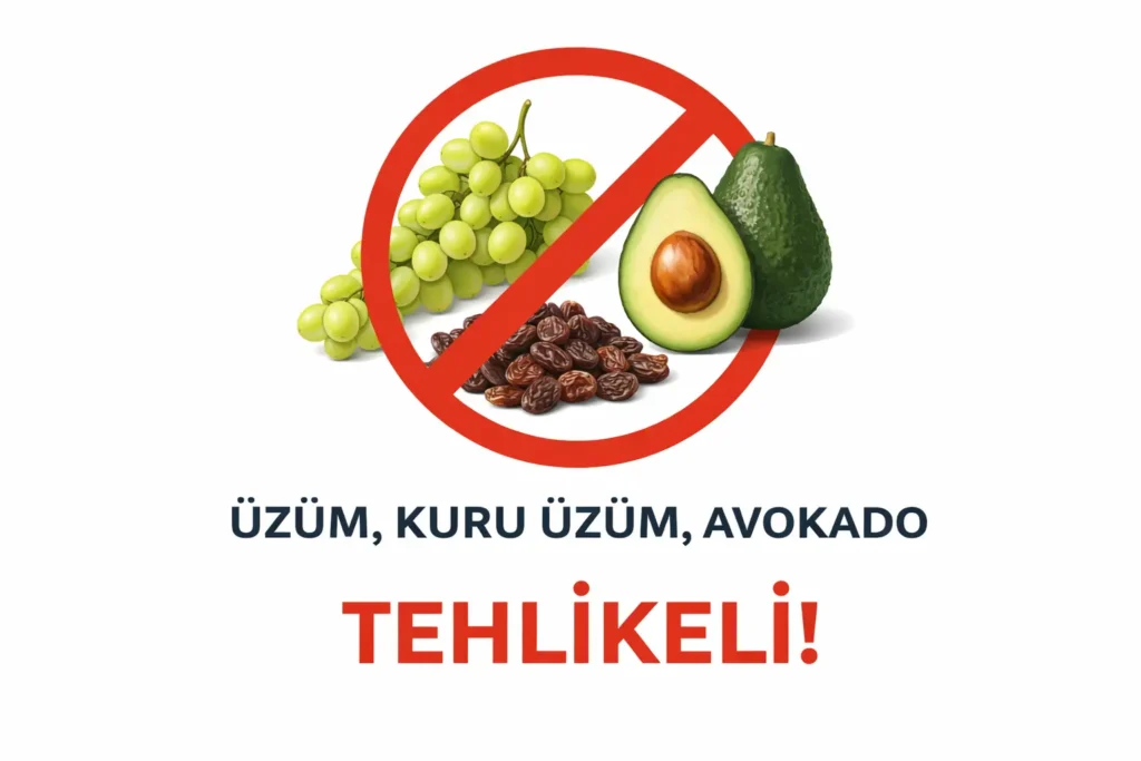Üzüm, kuru üzüm ve avokadonun üzerine kırmızı "Yasak" işareti konulmuş veteriner uyarısı görseli.