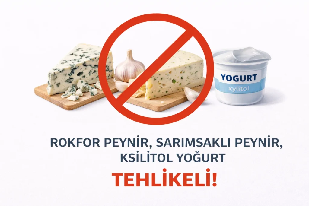 Küflü peynir, soğanlı peynir ve Xylitol içeren diyet yoğurtların üzerinde kırmızı "Yasak" işareti olan uyarı görseli.